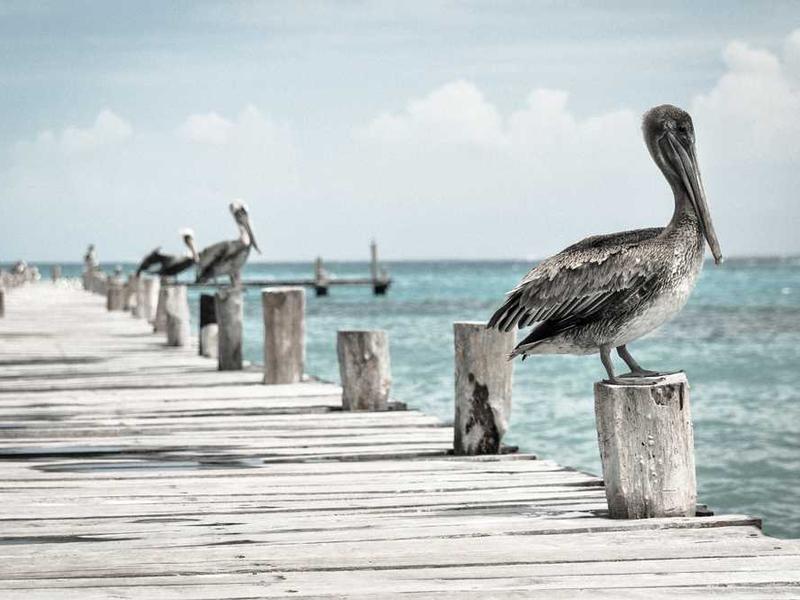 Children Books Set (German)